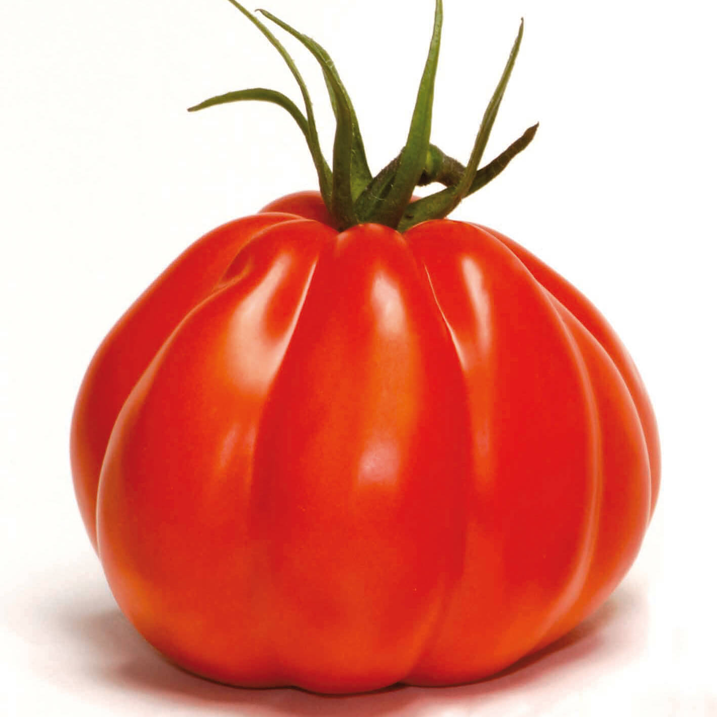Tomate_Corazon © Volmary Veredelte Tomaten im Spar-Set | 3 Stück