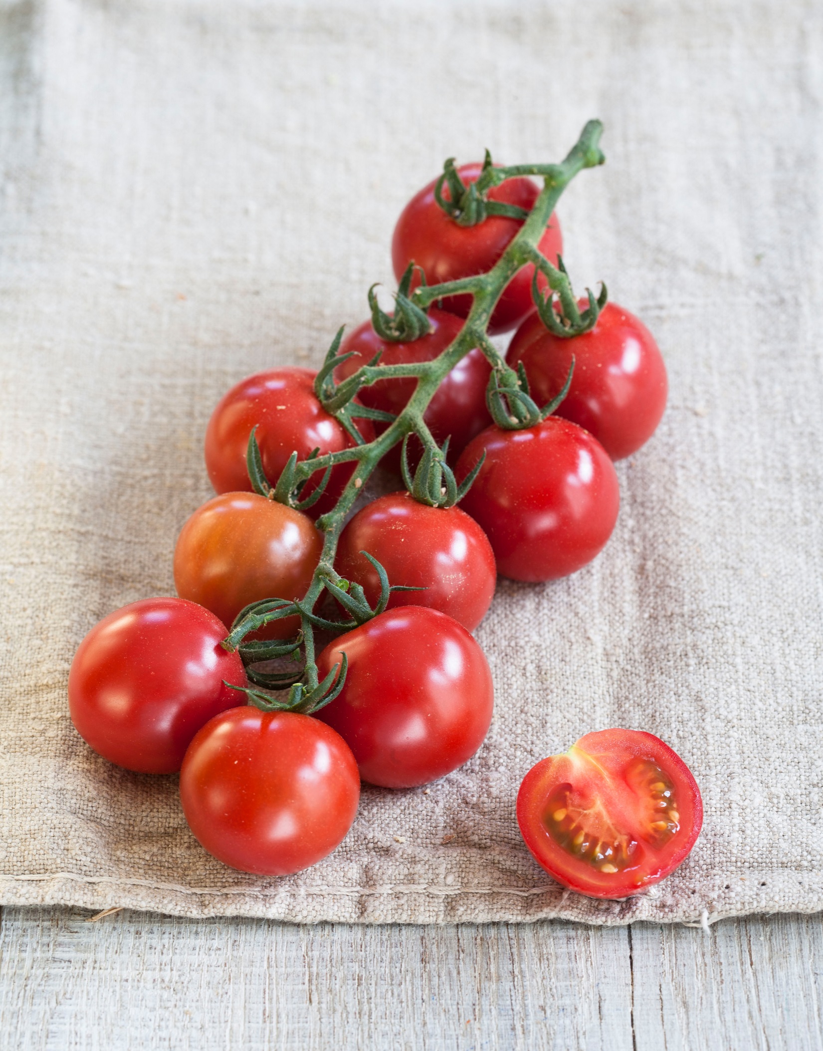Tomate_Solena_Rose © Volmary Veredelte Tomaten im Spar-Set | 3 Stück