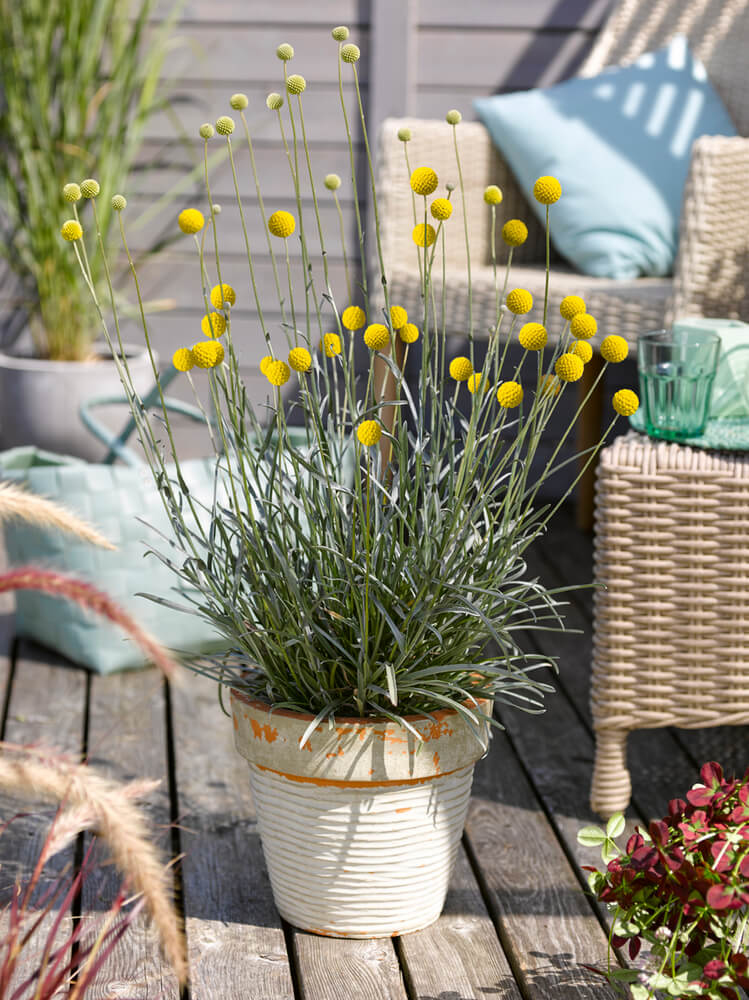 bodenvasen ikea Launches KONSTFULL Vases Designed by Ilse Crawford Farbe:Sylvanit (silber)